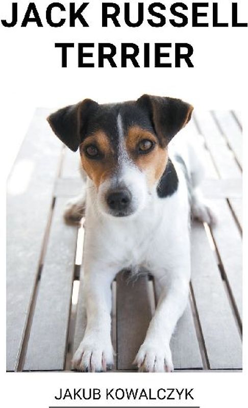 Jack Russell Terrier