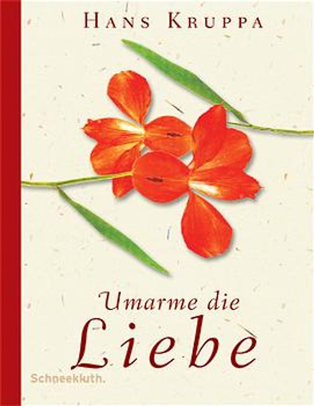 Umarme die Liebe