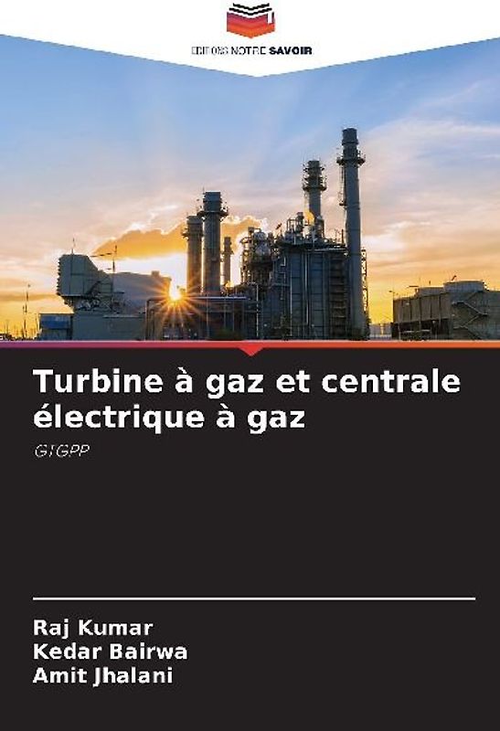 Turbine à gaz et centrale électrique à gaz