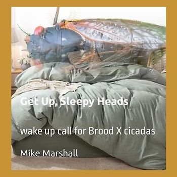 Get Up, Sleepy Heads: wake up call for Brood X cicadas