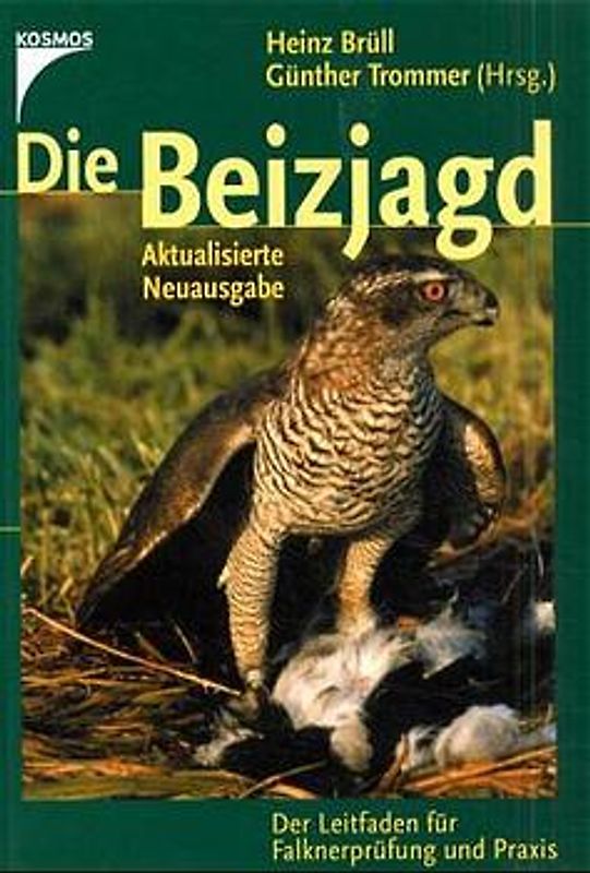 Die Beizjagd