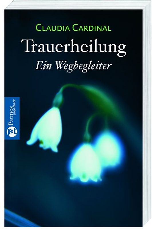 Trauerheilung. Ein Wegbegleiter