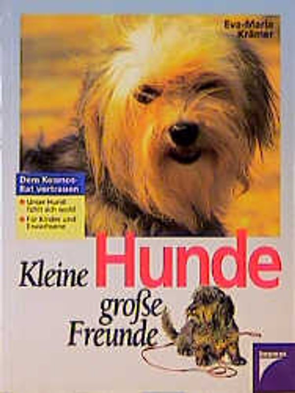 Kleine Hunde - grosse Freunde