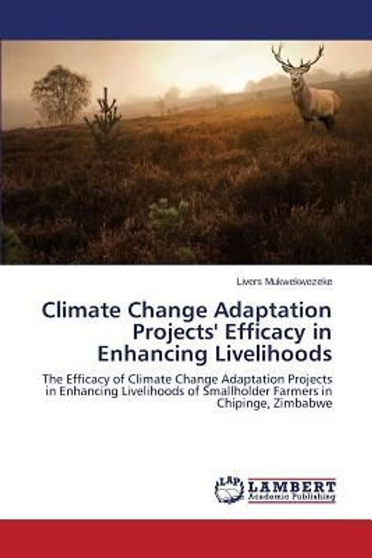 Climate Change Adaptation Projects' Efficacy in Enhancing Livelihoods