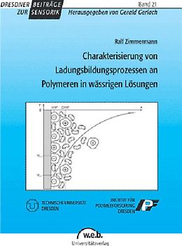 Charakterisierung von Ladungsbildungsprozessen an Polymeren in wässrigen Lösungen