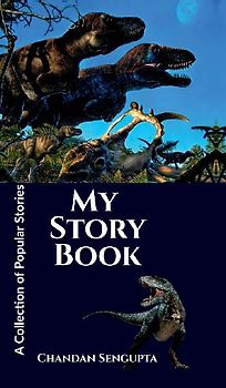 My Story Book