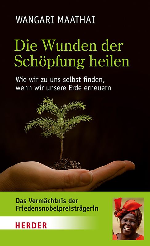 Die Wunden der Schöpfung heilen