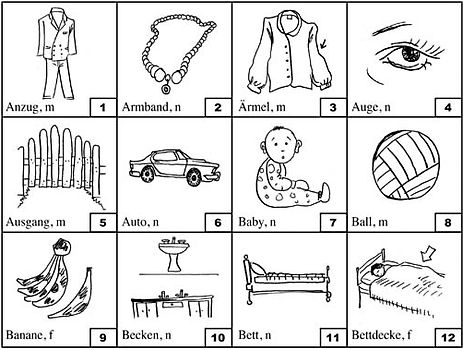 Trainer Grundwortschatz