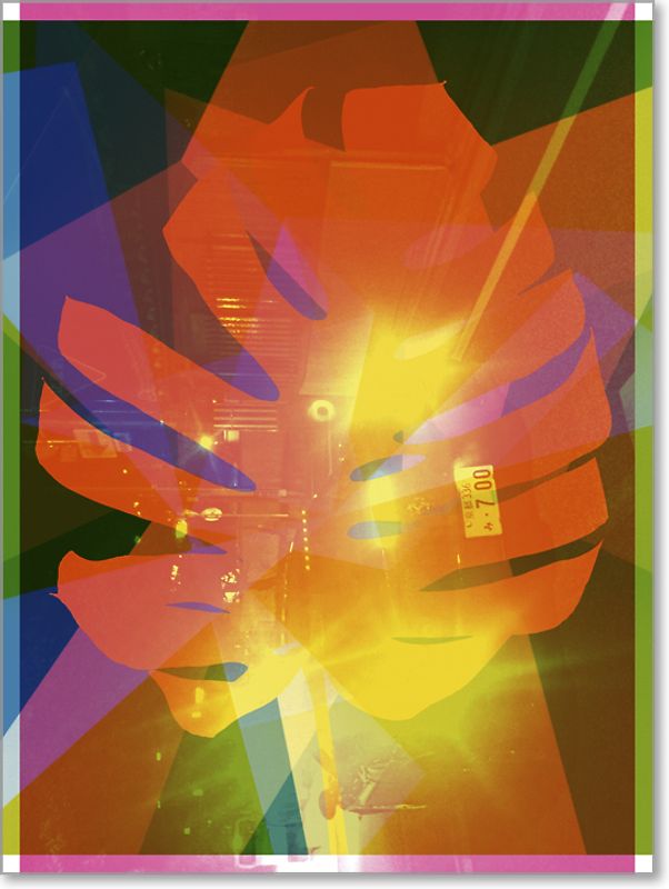 Shirana Shahbazi: Monstera