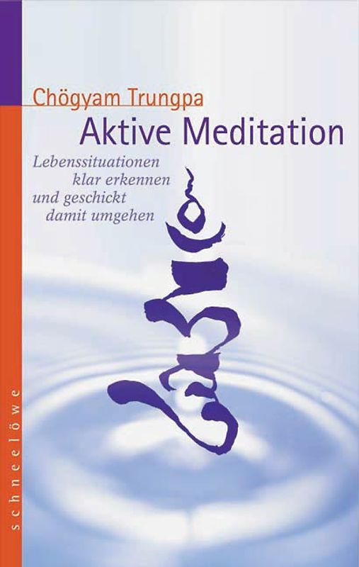 Aktive Meditation. Lebenssituationen klar erkennen und geschickt damit umgehen