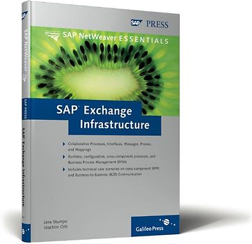 SAP Exchange Infrastructure
