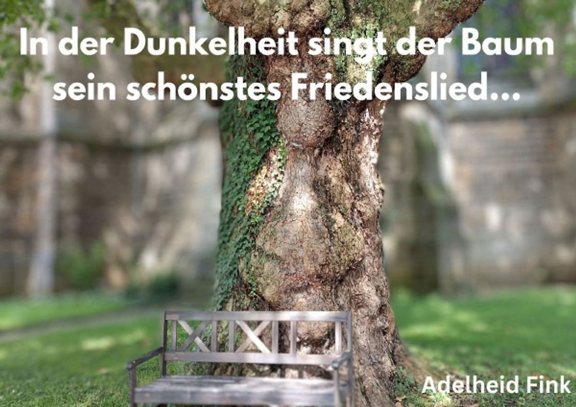 In der Dunkelheit sind der Baum sein schönstes Friedenslied...