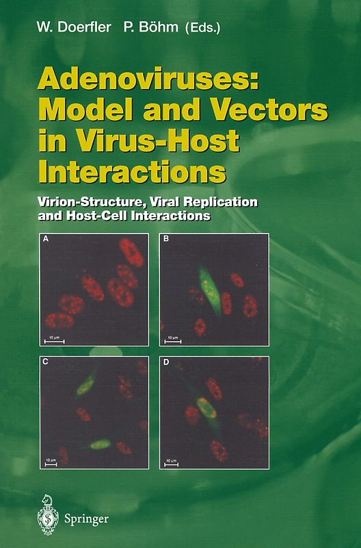 Adenoviruses: Model and Vectors in Virus-Host Interactions