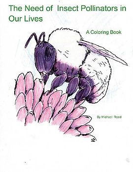 The Need of Insect Pollinators for Our Lives