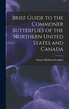 Brief Guide to the Commoner Butterflies of the Northern United States and Canada