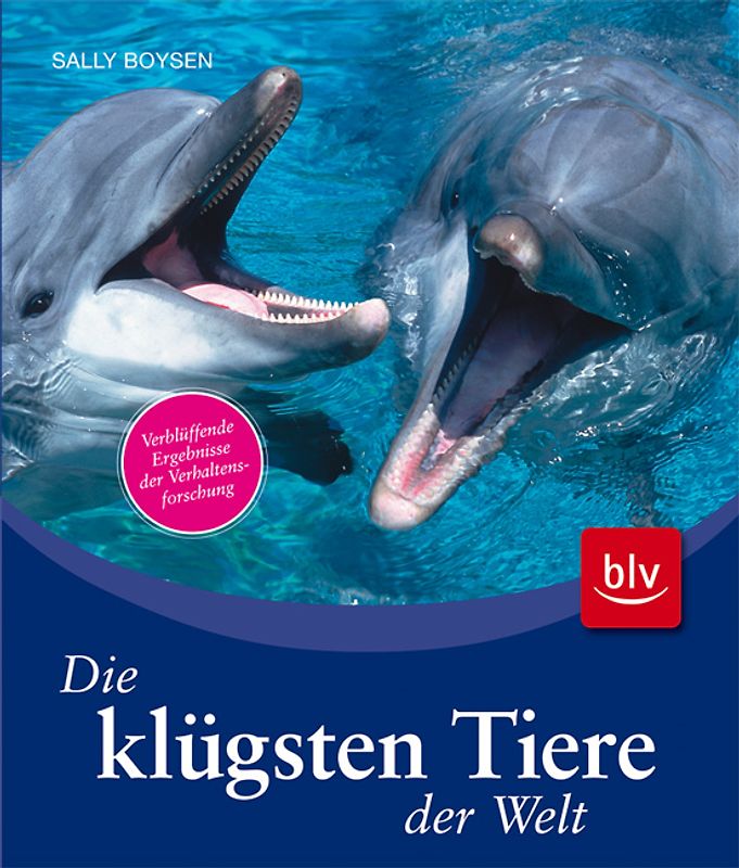 Die klügsten Tiere der Welt