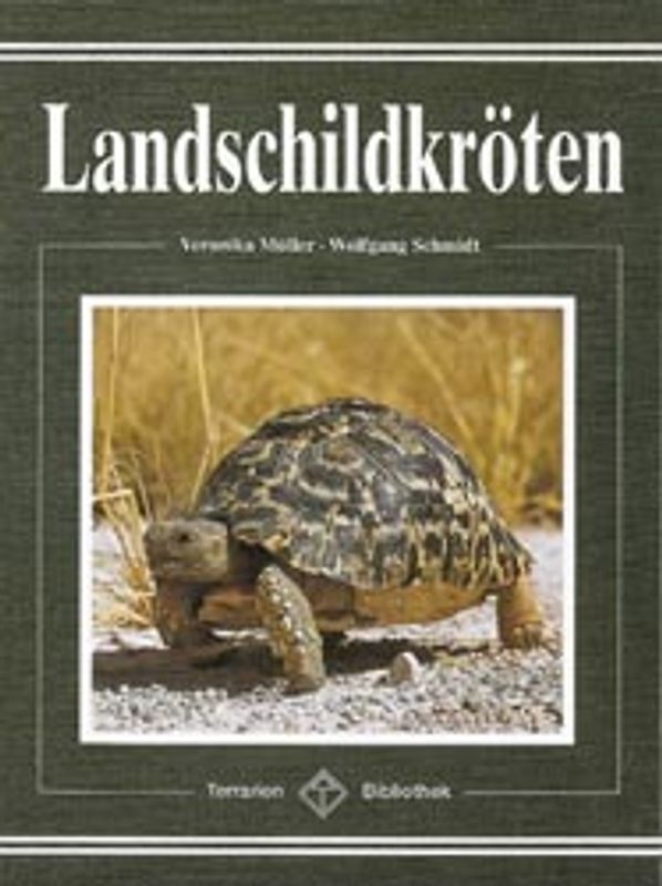 Landschildkröten