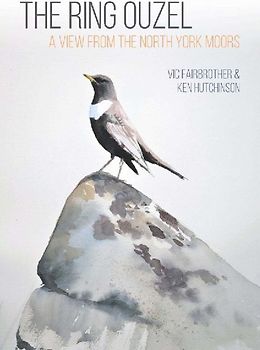 The Ring Ouzel