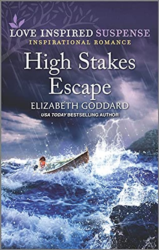 High Stakes Escape (Mount Shasta Secrets, 4)