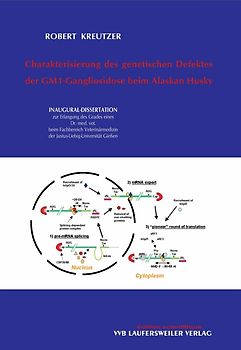 Charakterisierung des genetischen Defektes der GM1-Gangliosidose beim Alaskan Husky