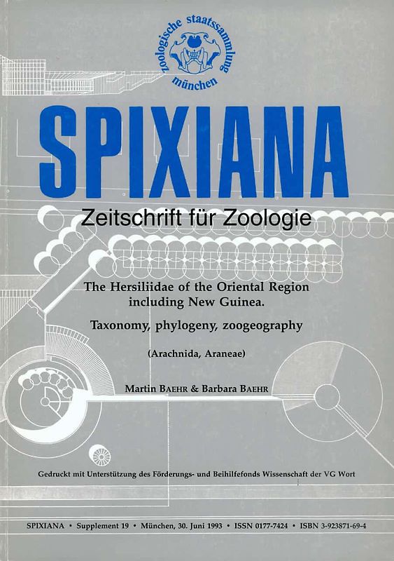 The Hersiliidae of the Oriental Region including New Guinea