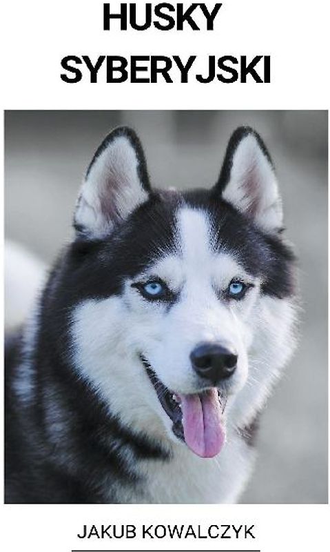 Husky Syberyjski