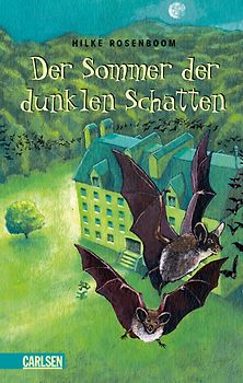 Der Sommer der dunklen Schatten