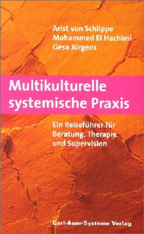 Multikulturelle systemische Praxis