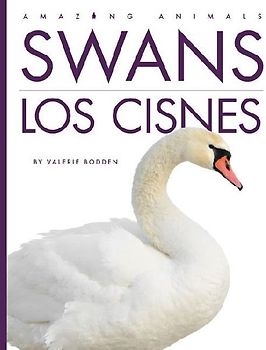 Swans / Los Cisnes