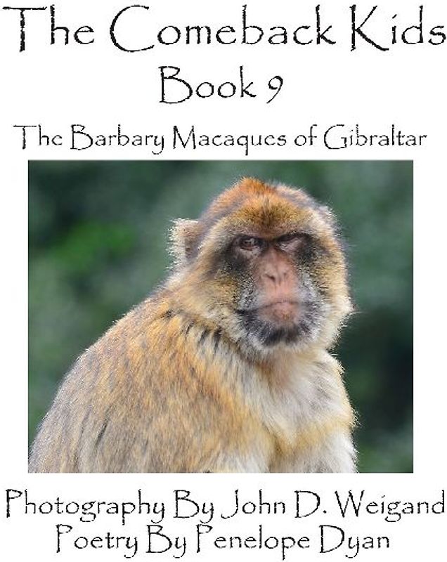 The Comeback Kids -- Book 9 -- The Barbary Macaques of Gibraltar