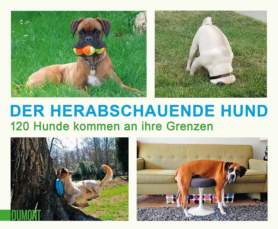 Der herabschauende Hund