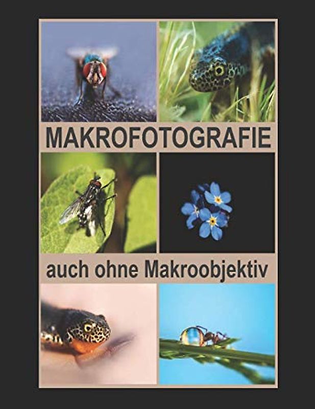 MAKROFOTOGRAFIE auch ohne Makroobjektiv zu tollen Makrofotos.