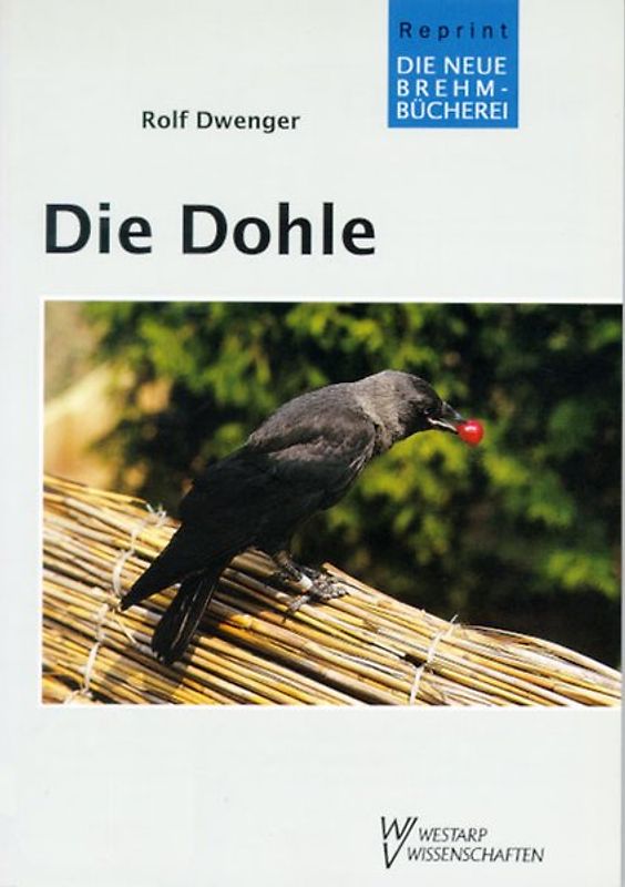 Die Dohle