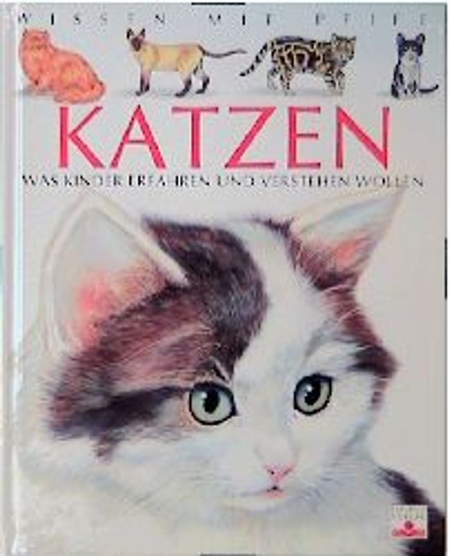 Katzen