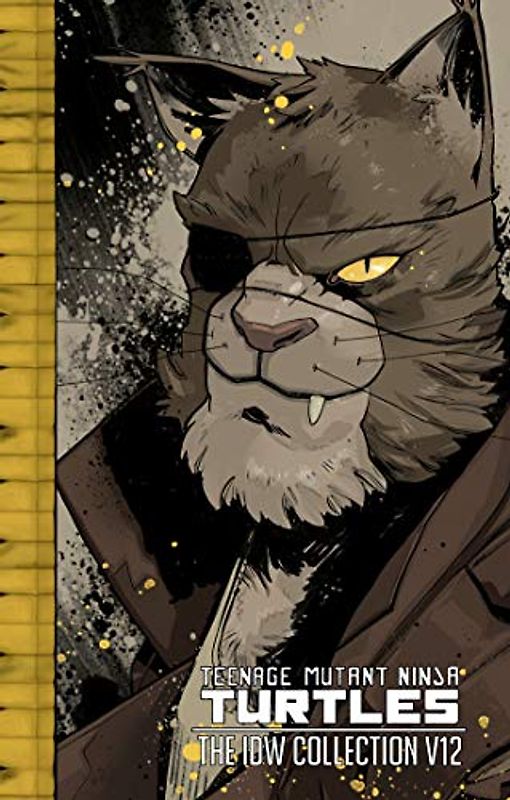 Teenage Mutant Ninja Turtles: The IDW Collection Volume 12 (TMNT IDW Collection, Band 12)