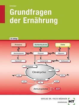 Grundfragen der Ernährung