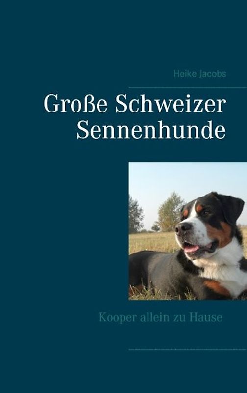 Große Schweizer Sennenhunde - Kooper allein zu Hause