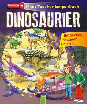 Mein Taschenlampenbuch Dinosaurier
