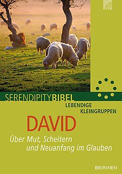 David. Über Mut, Scheitern und Neuanfang im Glauben