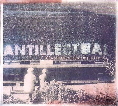 Antillectual - Perspectives & Objectives