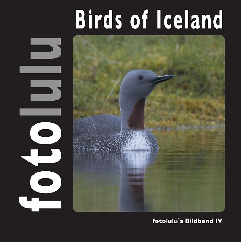 Birds of Iceland
