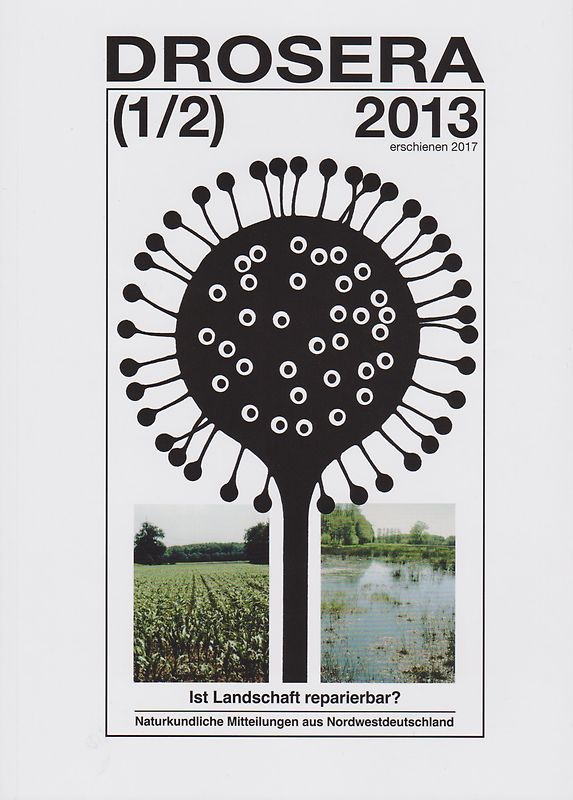 Ist Landschaft reparierbar?