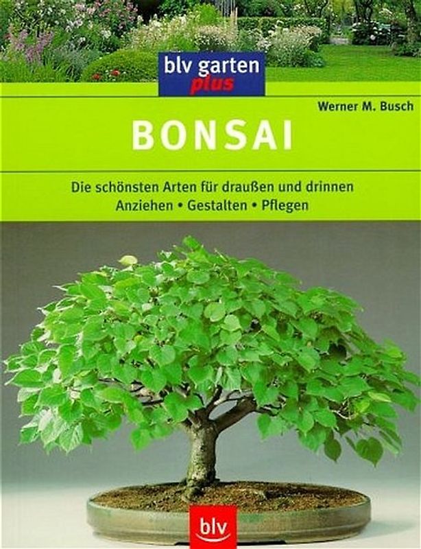 Bonsai. Die schönsten Arten für draussen und drinnen  Anziehen - Gestalten - Pflegen