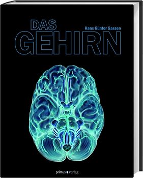 Das Gehirn