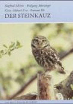 Der Steinkauz. Athene noctua