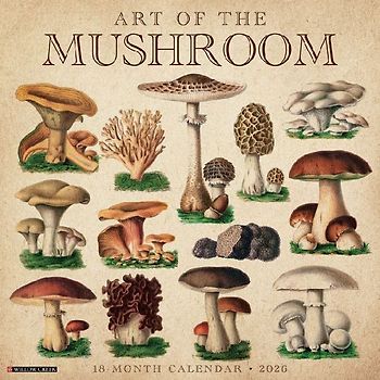 Art of the Mushroom 2026 12 X 12 Wall Calendar