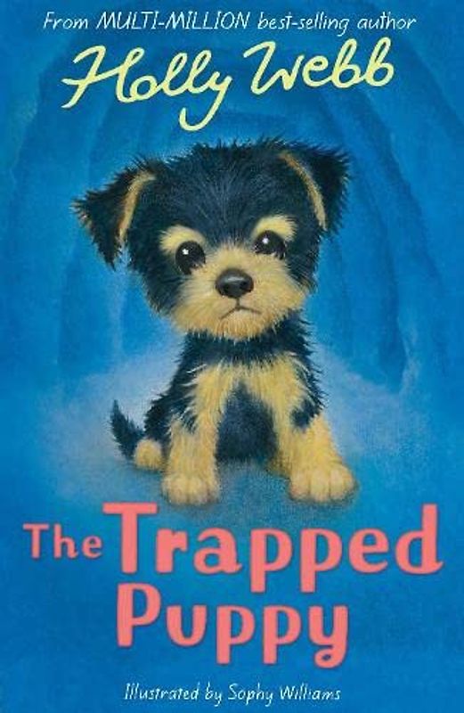 The Trapped Puppy (Holly Webb Animal Stories, Band 56)