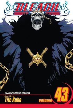 Bleach Volume 43: Kingdom of Hollows