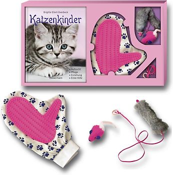 Katzenkinder-Set