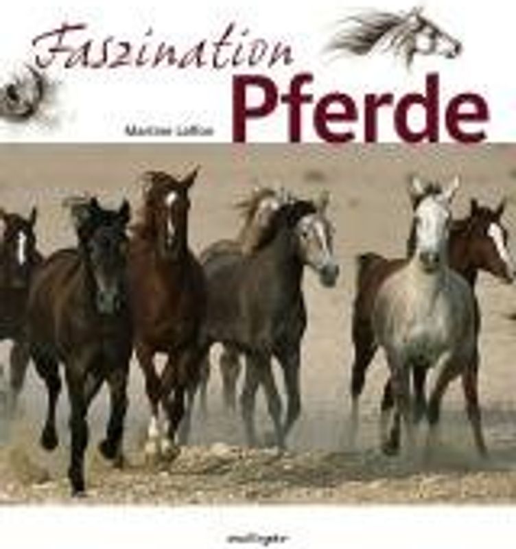 Faszination Pferde